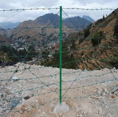 recinto escolar de alambre de púas especial alambre de púas malla precio por rollo barata alambre de púas bobina de alambre de púas galvanizado para cercas por conjunto