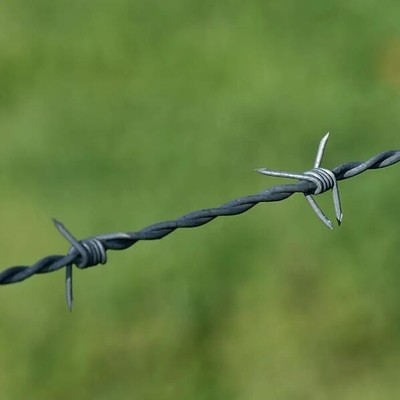 alambre de púas galvanizado alambre de púas galvanizado precio de 250 m por rollo holandés red de metal barandilla de protección recinto alambre de púas tbar herramienta de estiramiento para alambre de púas Certificado CE