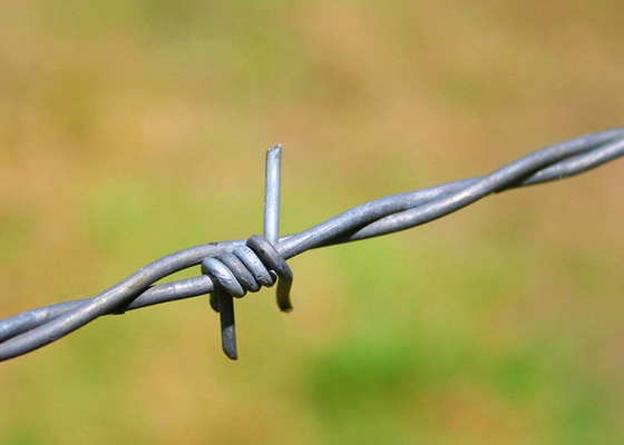 Uso de las paredes de las prisiones de alambre de púas de acero inoxidable de hebra única precio por rollo