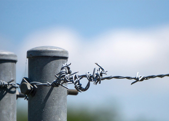 Uso de las paredes de la prisión longitud 200m Single Strand Hot Dip Galvanized alambre de púas