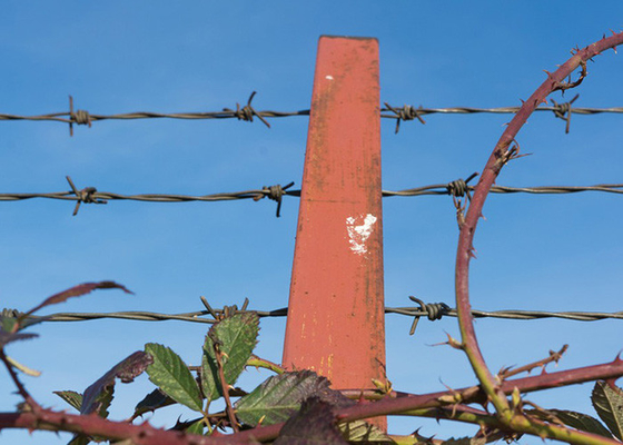Cables de alambre de púas de seguridad galvanizados y sumergidos en caliente