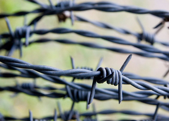 Cables de alambre de púas de seguridad galvanizados y sumergidos en caliente