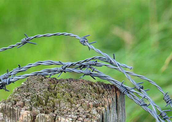 Largo 200 m de alambre de púas galvanizado de una sola hebra