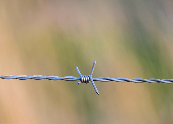 Protección de la explotación agrícola de alambre de púas galvanizado de hebra única, sumergido en caliente