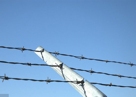 Protección de granjas de alambre de púas de acero galvanizado de hebra única