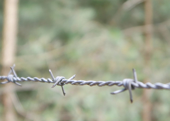 Protección de la granja Doble hebra de giro inverso de alambre de púas galvanizado en caliente