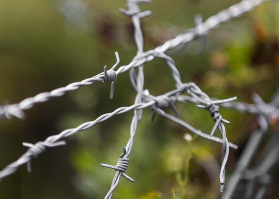 Protección de la granja Doble hebra de alambre de púas eléctrico de cuerda tradicional