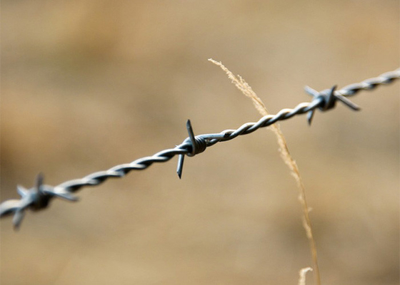 Protección de granjas bobinas de alambre de púas galvanizadas dobles torcidas y sumergidas en caliente
