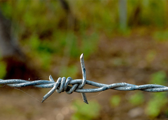 Protección de la granja Anti-ascensión en caliente en remojo Galvanizado de alambre de púas