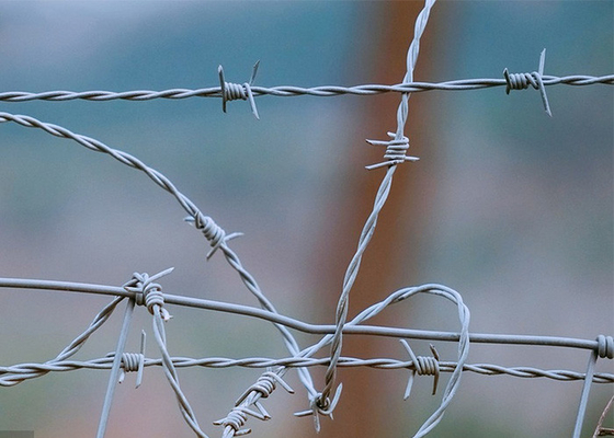 Protección de las explotaciones agrícolas bobinas de alambre de púas doblemente retorcidas revestidas de PVC/galvanizadas
