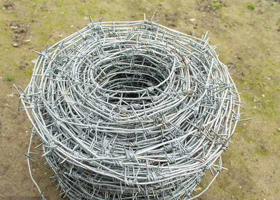 Protección de la granja de alambre de púas de acero galvanizado en caliente de hebra única