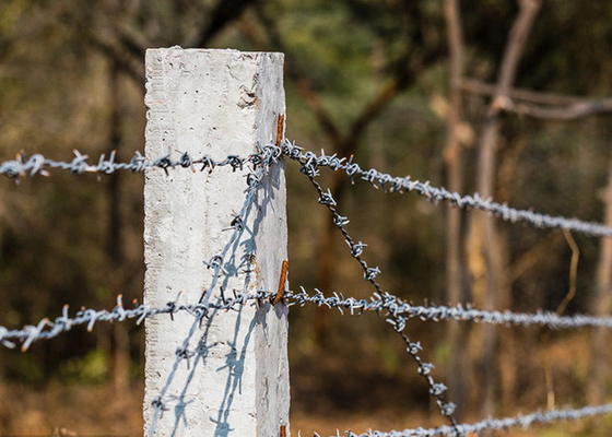 Protección de las explotaciones agrícolas 12.5 calibre doble trenzado galvanizado de alambre de púas
