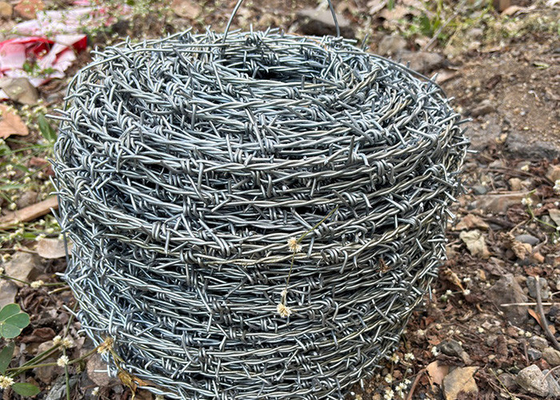 Protección de la granja Doble hebra de alambre de púas de acero inoxidable de giro inverso