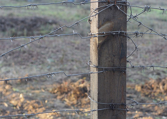 Protección de la explotación agrícola 50 kg de doble hebra de alambre de púas tradicional torcido