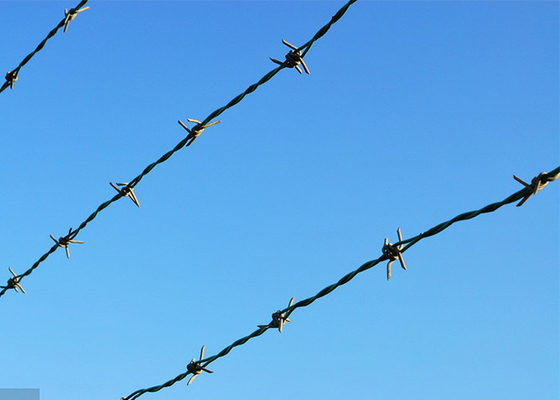 Protección de la construcción de cercas 3o o 4 pulgadas Barba distancia de alambre de púas electro