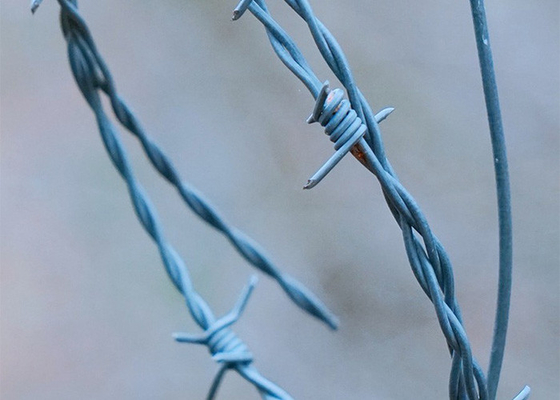 Resistencia a la corrosión 3o o 4 pulgadas Barba Distancia Single Strand PVC recubierto de hierro de alambre de púas