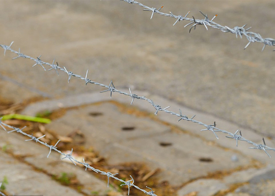 Resistencia a la corrosión bobinas de alambre de púas galvanizadas doblemente retorcidas y sumergidas en caliente