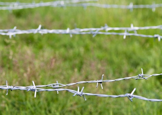 Resistencia a la corrosión 3o o 4 pulgadas de distancia de alambre de púas doble hebra inversa girar alambre de púas