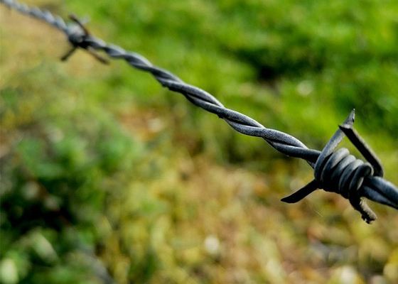 Cables de seguridad de púas electro-galvanizados para aislar y proteger
