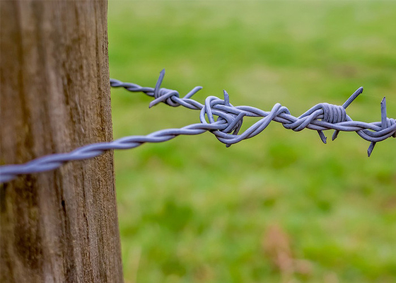 Cables de seguridad de púas electro-galvanizados para aislar y proteger