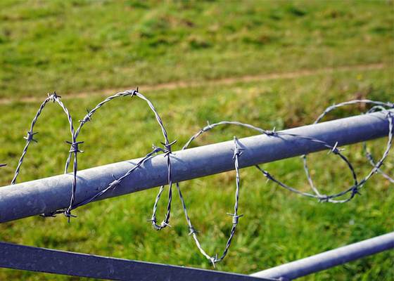 Resistencia a la corrosión de alambre de púas de acero galvanizado de hebra única