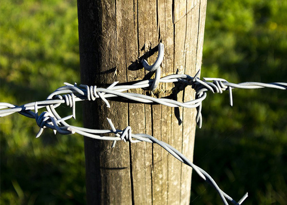 Resistencia a la corrosión Doble hebra de alambre de púas de acero inoxidable de giro inverso