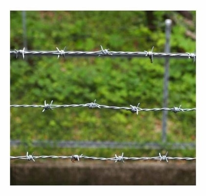Espiral de alambre de púas de defensa de alambre de púas galvanizado de instalación de la cerca de seguridad