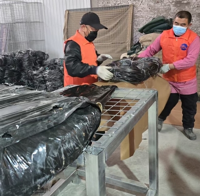 Gran stock Entrega rápida Tipo de MZP Putanka alambre visible bajo MPP Obstáculo invisible Putanka Barrera de malla de alambre