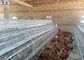 La jaula del pollo de la capa del huevo, aves de corral de las gallinas Metal la jaula del pollo para Kenia