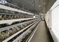Jaula de batería de las aves de corral de 3 gradas para la certificación del CE de la granja avícola del pollo del huevo
