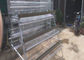 Jaula de Mesh Layer Chicken Cages Battery del alambre con el sistema de alimentación del pollo automático