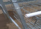 Las gradas del sistema automático Q235 4 acodan la jaula del pollo para la granja