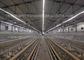 Equipo de granja avícola un tipo gradas de la jaula 4 del pollo de la capa de Q235