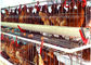 El tipo pollo de las aves de corral del sistema automático 128 enjaula el equipamiento agrícola de la capa del huevo
