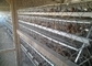 El tipo de H galvanizó la jaula automática del pollo del laer de la granja avícola del bettery para el mercado de Suráfrica
