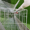 Jaula de acero galvanizada 96 pájaros del pollo de la capa del alambre automática en granja avícola