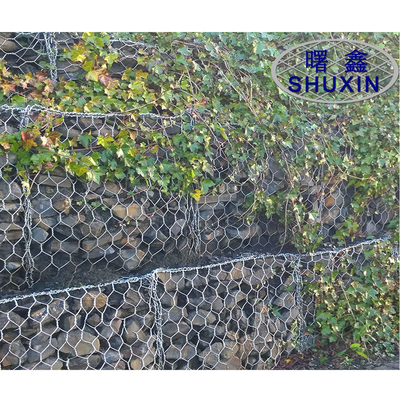 El Pvc cubrió las cestas galvanizadas de Gabion cultiva un huerto la malla de alambre los 2*1*1m del hierro