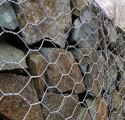 Shuxin Galvanizado caliente 60 * 80mm agujero 2.7mm malla de alambre Gabion Cesta para el control de inundaciones