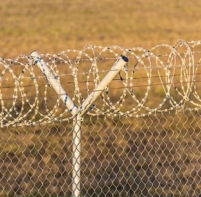 500 m de alambre de púas galvanizado antiescalada para aves