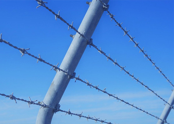 Instalación personalizada de cinta de protección de alambre de púas galvanizado en caliente para la seguridad de las prisiones