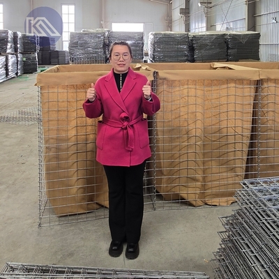 Barrera Hesco de 1,37 m x 1,06 m x 10 m Protección contra inundaciones de acero galvanizado