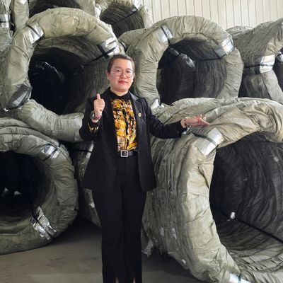 Egoza Concertina Fencing Fencing Razor Barbed Protección aguda para sitios críticos