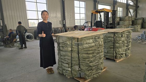 Fábrica mayorista de acero inoxidable de PVC galvanizado Concertina alambre de púas BTO-22 BTO-60 rodillos de alambre de púas