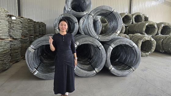 KN Venta en caliente de alta seguridad galvanizado en caliente con barbas de afeitar, adecuado para cárceles/aeropuertos