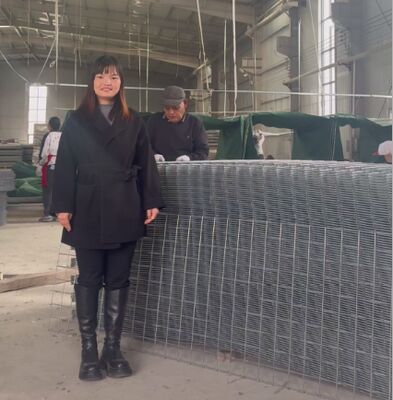 SX10 Barreras defensivas HESCO de arena con geotextil Barreras de gabión militares precio de la barrera HESCO