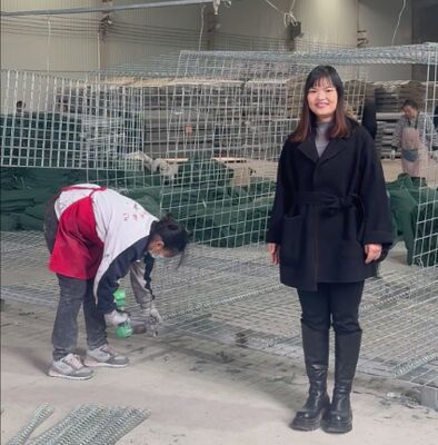 Mil 1 Ejército Barrera Defensiva Protección de Pared Galvanizado Revestido con Geotextil