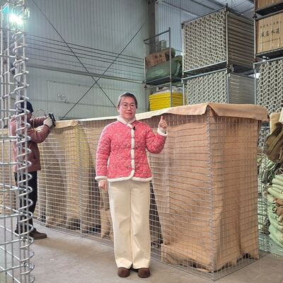 Barrera defensiva de 1 mil Hesco Barrera galvanizada con malla soldada Control de inundaciones prefabricado Fortificaciones militares Fácil montaje
