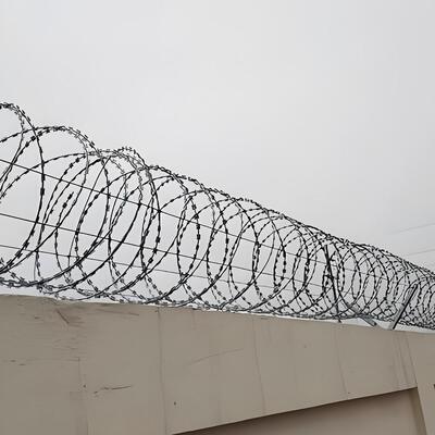 cerca acordeón del alambre de púas de la maquinilla de afeitar de la cinta del acero inoxidable de los 50cm Coild BTO-16