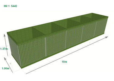 Pared militar 3